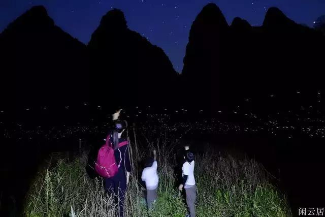 小猫钓鱼正版下载中文版