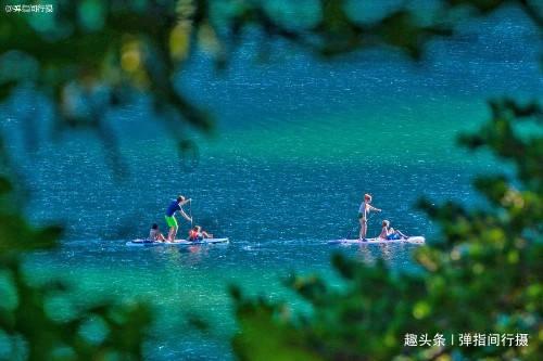 郑钦文骂球迷事件持续发酵：忍无可忍道歉后，未来如何修复形象？